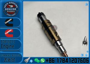 China Diesel XPI diesel fuel injectors and spare parts for Sca-nia truck injector 2036181 574425 factory