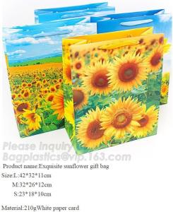 China Foldable Custom Printed Gift Paper Bag Recycled Paper Bag Luxury,Promotional Printed Gift Paper Bag,Printed Gift Bag Pap factory