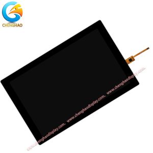 10.1 Inch Thin Film Transistor Screen 1280*800 Resolution IPS LCD Display With