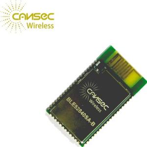 China IoT BLE52840SA-B BLE 5.0 Nordic NRF52840 Ble Bluetooth Module factory