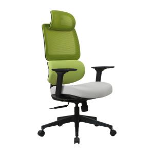 China 3D Ergonomic Desk Chairs Nylon Adjustable Armrest Reclining Mesh Chair factory