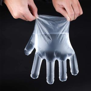 China Transparent Food Grade Disposable Plastic Gloves For Cooking And Cleaning Food Processing factory