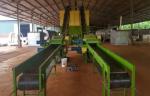 Cow dung fertilizer pellets production line with 1-5T/H capacity