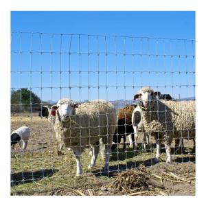 China Galvanized Sheep Farm Fence Heat Treated Heavy Duty Fixed Knot Woven Wire Field Game Fence factory