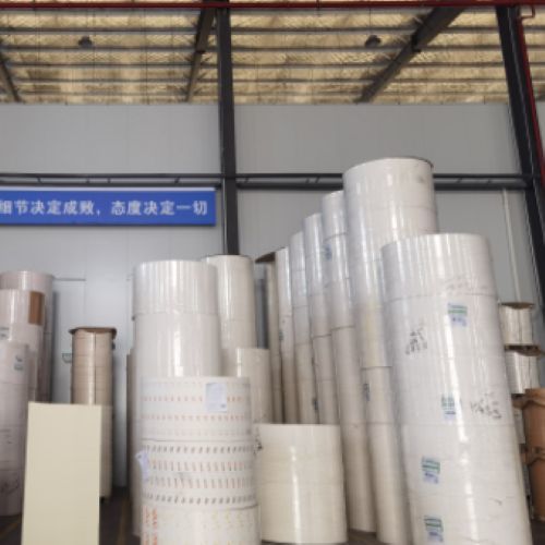 Factory Wholesale PE Coated Paper Roll for Moisture-Proof Food Packaging