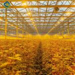 Low Maintenance Commercial Glass Greenhouse With Adjustable Roof Vents