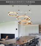 Many Color Can Make Any Size LED Light Pendant Lightings And Handelier