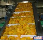 Stainless Steel Bottle Belt Conveyor Price