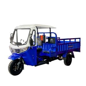 China 5.0-12 Tire Size DAYANG Heavy Duty Petrol Cargo Cabin Motor Tricycle for Global Market factory