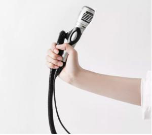 China Bendable Flexible Metal Gooseneck Microphone Stand Electroplating 19 Inch factory