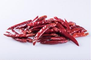 China Zero Additive Tianjin Red Chilies Stick Shape Pungent Red Dried Chiles factory