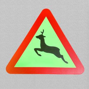 China Plastic Photoluminescent Signage For Wall Mounted And Ceiling Mounted Installation factory