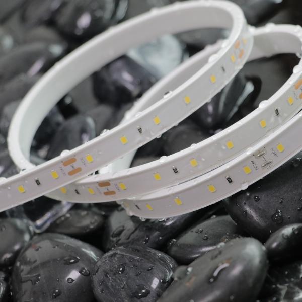 ERP 2835 WHT 6500K SDCM 3 LED 5 Years Warranty Wide CCT range Energy Efficiency