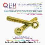 QBH DIN444 Stainless Steel SS304 SS316 SUS 304 316 Swing Eye Bolt Eye-Bolt