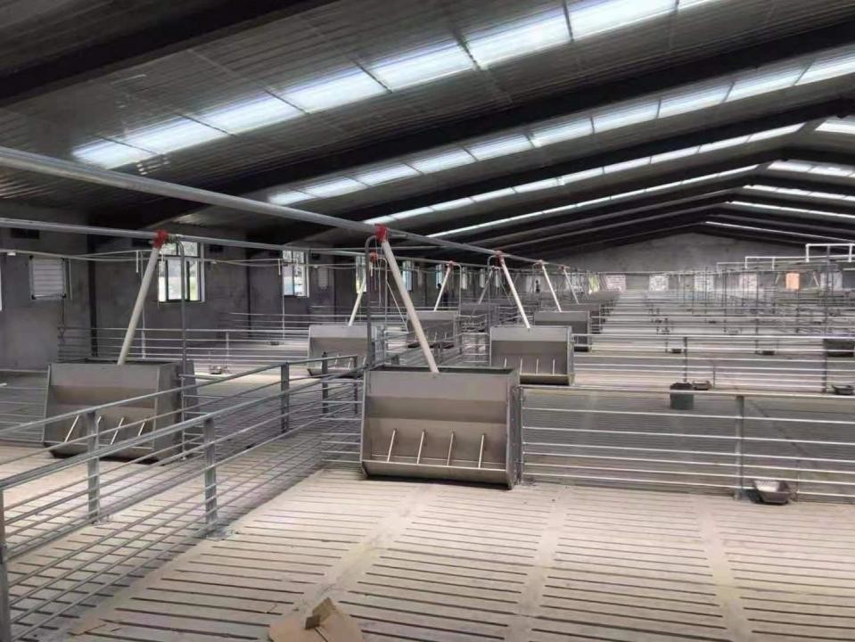 Hygienic Livestock Farm Equipment Galvanized Steel Fattening Pigs Cage
