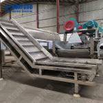 Electric Automatic Vegetable And Fruit Washing Machine Tomato Processing Line