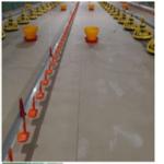 Automatic Feeders Farm Equipment for Poultry Chickens,Poultry Feeder Pan for