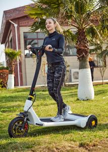 China H1340mm 250W Loop Balance Electric Kick Scooter factory