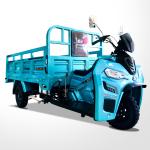 200/250/300cc Water Cooled Engine Cargo Tricycles Perfect for Long-Distance