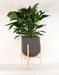 Wholesale Real Plant Display With Fiber Clay Planters Decoration