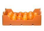 PPP Solution Fruit 4mm Fluted Pp Packaging Box
