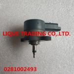 BOSCH pressure regulating valve 0281002493 , 0 281 002 493 for CITROEN, PEUGEOT