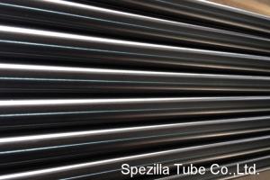 China High Purity Polished 2 stainless steel pipe 20ft Fixed Stainless Steel TP 316L factory