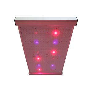 China Quantum 2x2 LED Grow Light factory