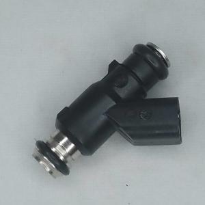 China 28263842 DELPHI Fuel Injector Nozzle For Jinbei Hiace Forton 4G20 4Y 4G19 V19 factory