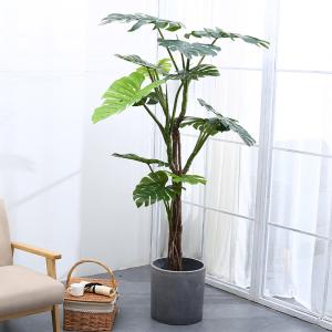 China 175cm Height Artificial Tropical Tree Green Foliage Plant Monstera For Home Decor factory