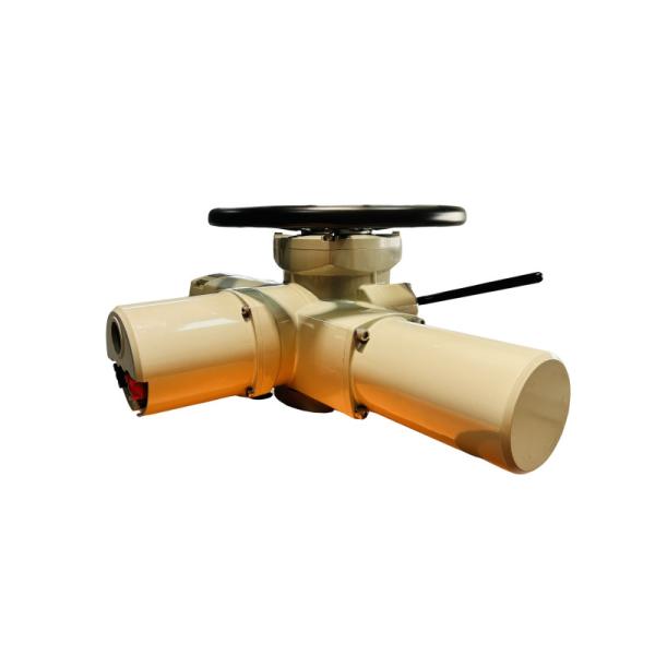 Explosion Proof Intelligent Electric Actuator 2500NM Multi Turn Electric