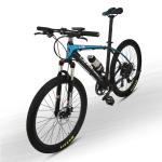 Aluminum Alloy Frame Portable E Bike 26" 350W With Removable 36V 6.8AH L G