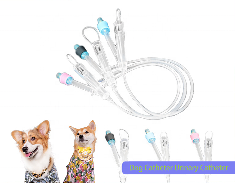 Animals Medical Hydrophilic veterinary Silicone Coating Super-lubricity 2 Way