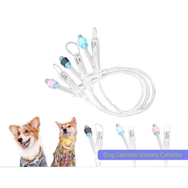 Animals Medical Hydrophilic veterinary Silicone Coating Super-lubricity 2 Way