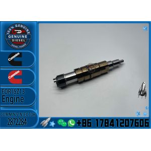 Generator Parts Accessories Fuel Injector Model Numbers 2872056 2872284 2972405