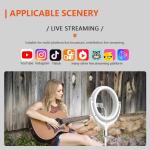 2800lm 10W Beauty Fill Light 12inch USB Live Streaming Ring LED Lamp 96 leds