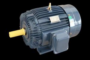 China Industrial Three-Phase Induction Motor IP55 Protection F Level factory