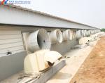 Steel Frame Piggery Shed Construction Long Span Steel Poultry Buildings