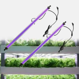 China UV 395nm IR 730nm Full Spectrum LED Light Bar 50W 100W Supplemental LED Grow Light factory