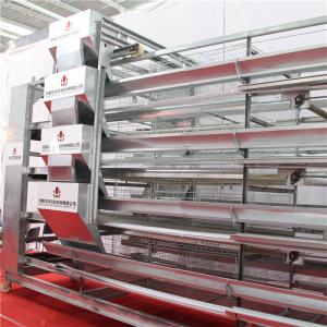 China Farming 4 Door H Layer Chicken Cage With Nipple Drinker factory