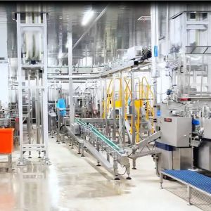 Efficient Automated Canned Food Production Line with 100g-3kg Container Size for