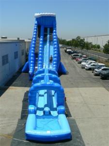 China Inflatable Water Slide, hippo slide , inflatable giant palm slide factory