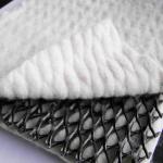 3D Composite Drainage Geonet for Municipal Works and Landfill Reservoirs