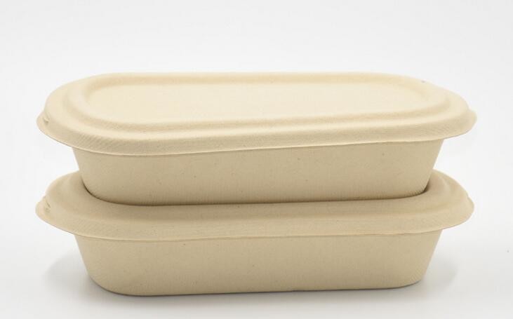 1000ml Biodegradable Straw pulp food container 2 compartments paper food tray with PP lid