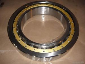China NJ202 cylindrical roller bearing 15x35x11mm factory