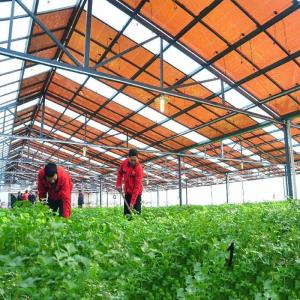 China Hot Galvanized Steel Frame Thin Film Module Support Structure For Photovoltaic Greenhouses factory