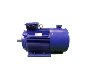 China YVFE3 200L1-2 Class F High Efficiency IP23 Motor 30kW 380V factory