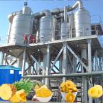 1500 Tons Per Day Pineapple Processing Production Line SUS304 Automatic Cleaning