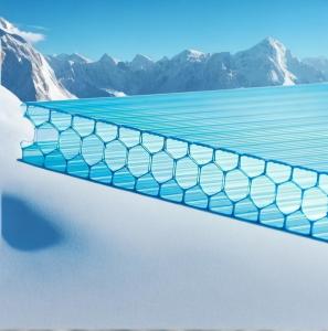 China 10mm Twinwall UV Blocked Greenhouse Transparent Polycarbonate Honeycomb Sheet factory