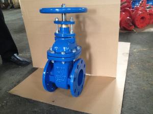 China (BS) Cast Iron Gate Valve NRS factory